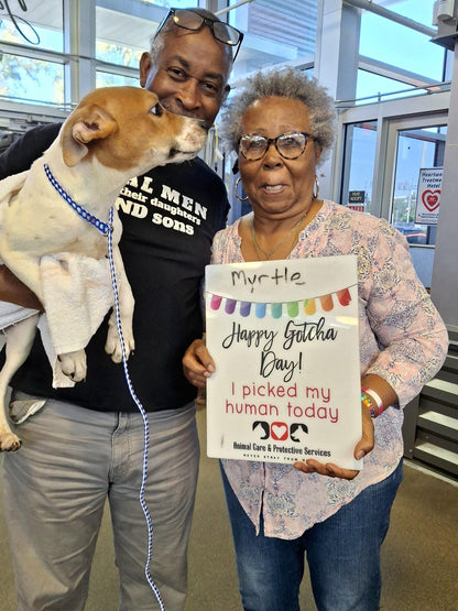 Custom pet adoption sign,  I picked my human sign, dry/wet erase adoption sign, Happy gotcha day, personalized sign, humane society