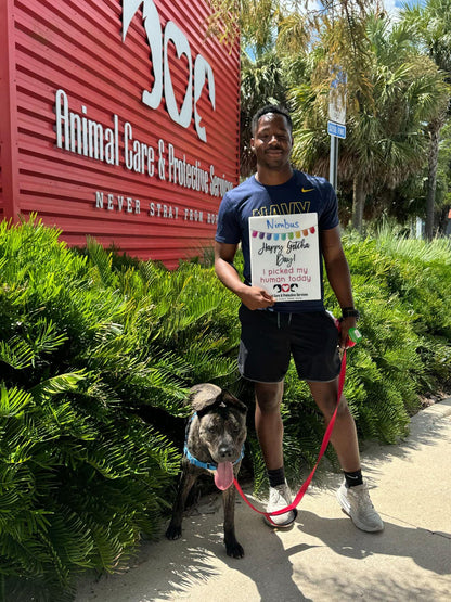 Custom pet adoption sign,  I picked my human sign, dry/wet erase adoption sign, Happy gotcha day, personalized sign, humane society