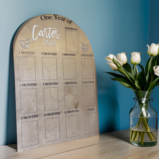 My First Year One Year of Photo Board Wooden Milestone Board 1st Birthday Milestone Board First Birthday Decorations 12 Months Photo