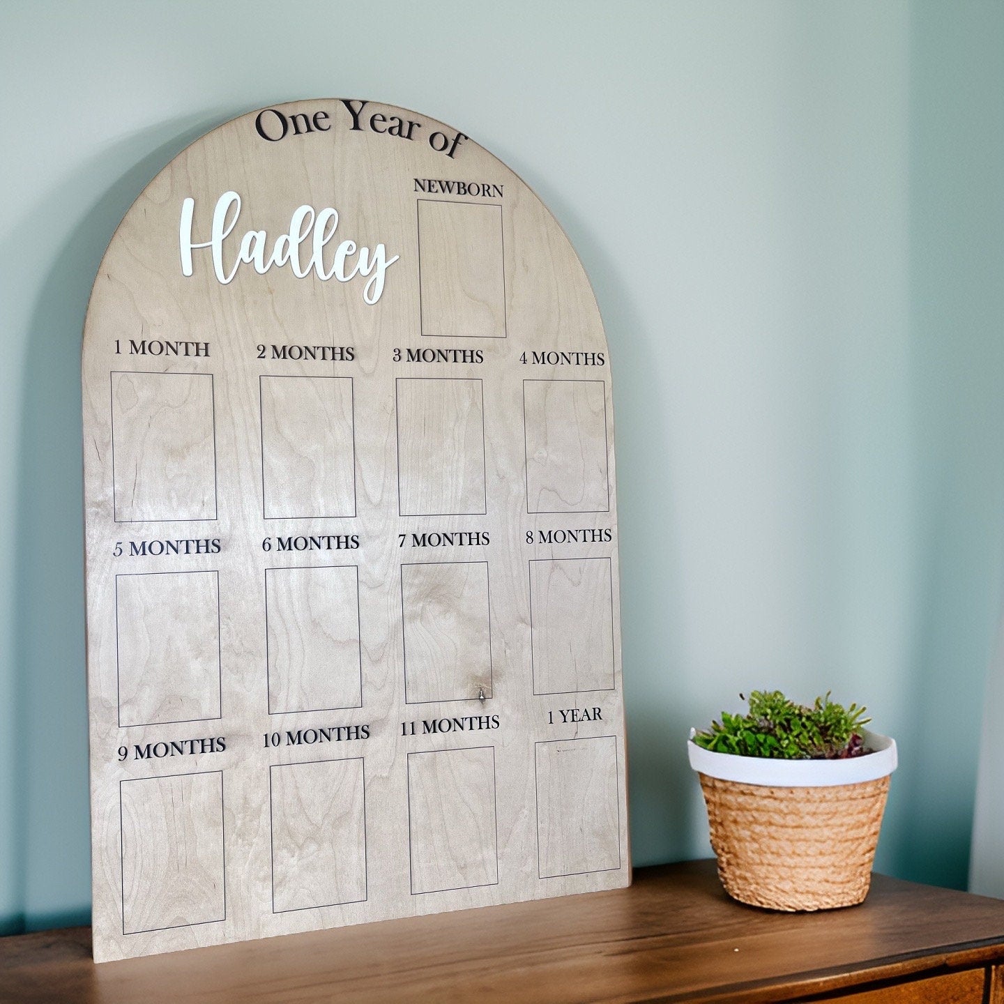 My First Year One Year of Photo Board Wooden Milestone Board 1st Birthday Milestone Board First Birthday Decorations 12 Months Photo