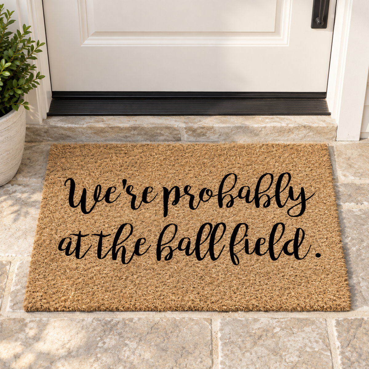 Probably at the ball field rug